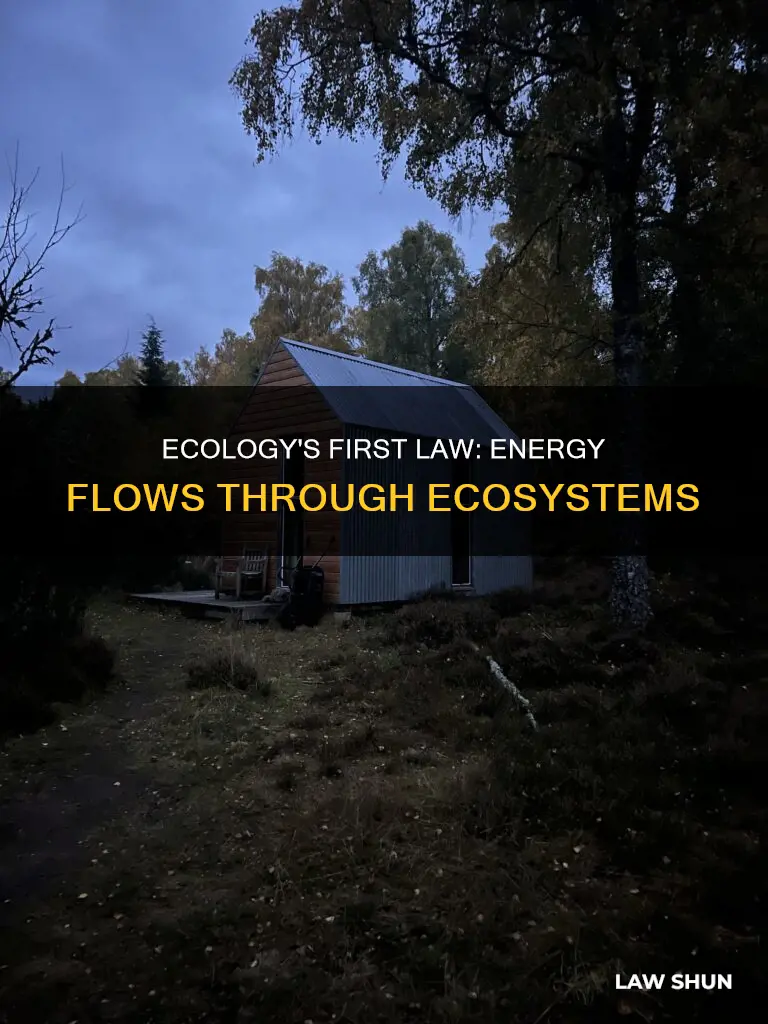 what is the first law of ecology