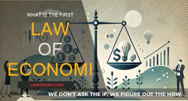 The Core Law of Economics: Scarcity and Choice