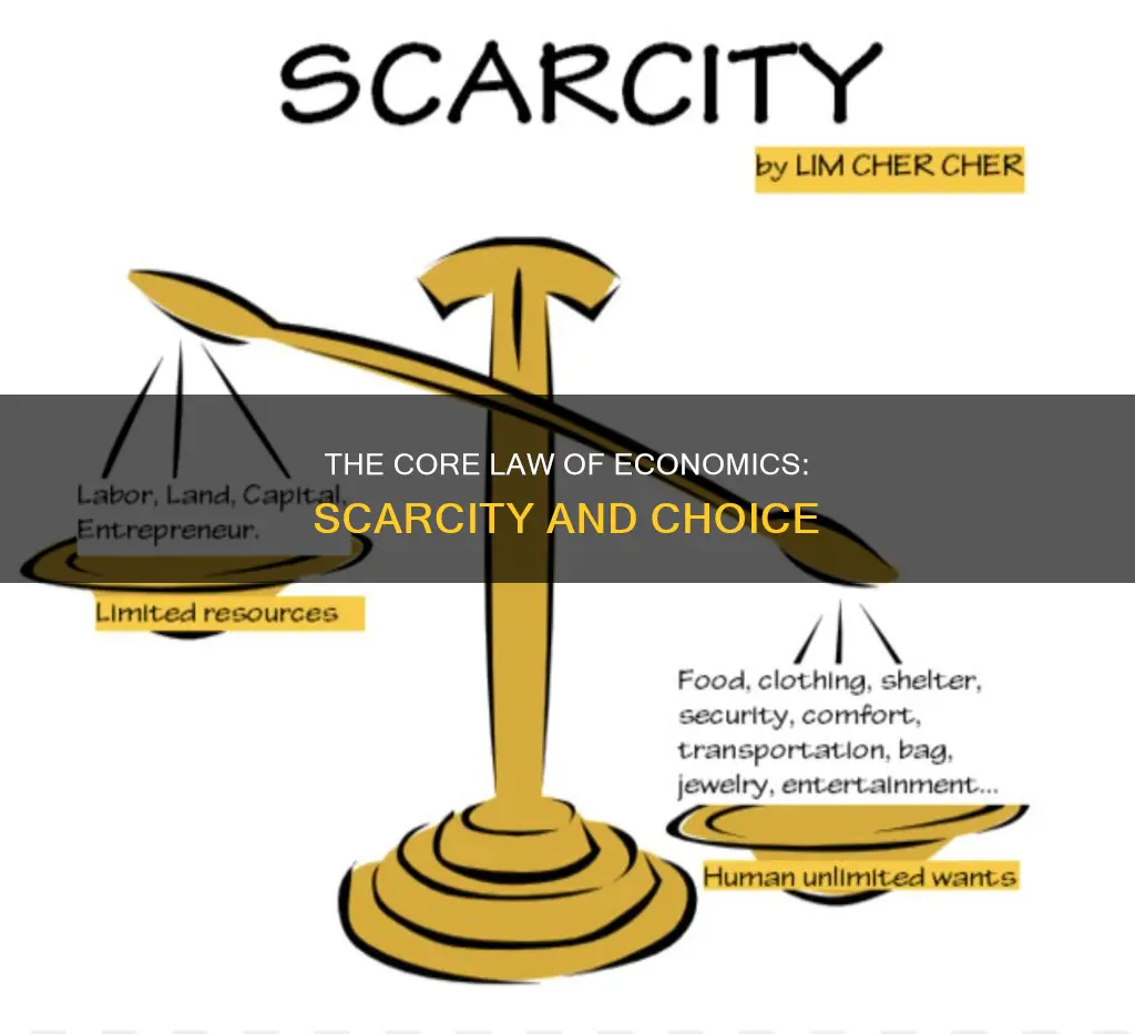 what is the first law of economics