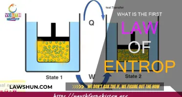 Understanding Entropy's First Law: Order to Disorder Transition