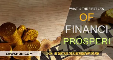 The Foundation of Wealth: First Law of Financial Prosperity