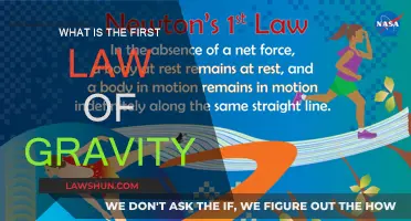 Gravity's First Law: A Universal Attraction