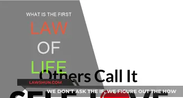 The First Rule of Life: Living with Purpose