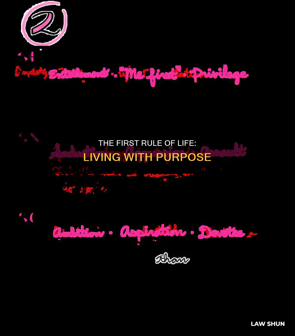 what is the first law of life