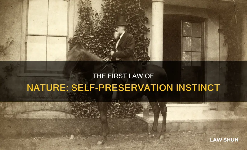 what is the first law of nature