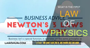 The Foundation of Motion: Newton's First Law of Physics