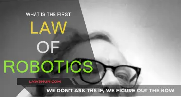 Robotics' First Law: The Three Principles Explained
