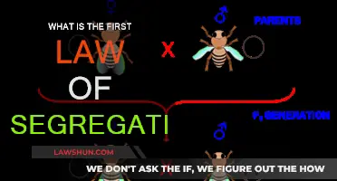 Segregation's First Law: Mendel's Principle Explained