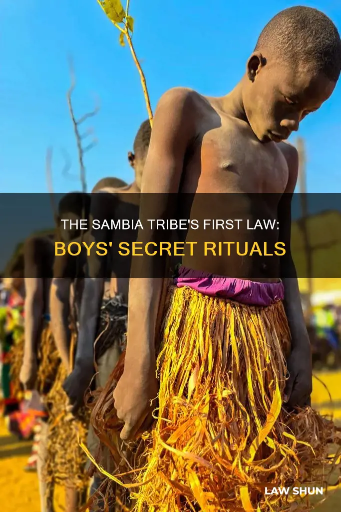 what is the first law of the sambia tribe