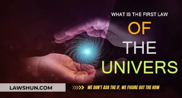 The Universal Law of Attraction: First Law of the Universe