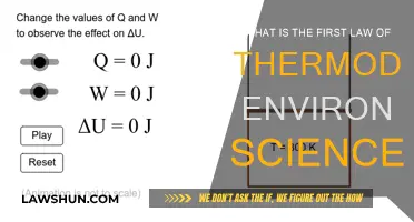 Understanding the First Law of Thermodynamics in Environmental Science