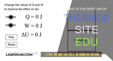 Understanding the First Law of Thermodynamics: Energy Conservation