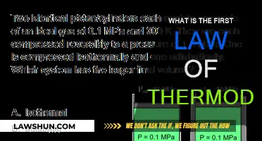 Understanding the First Law of Thermodynamics: Energy Conservation Basics