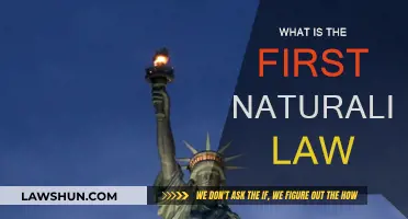 The First Naturalization Law Explained