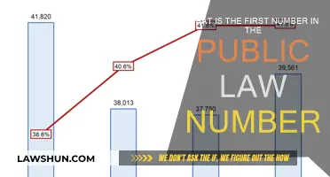 The First Number: Understanding Public Law