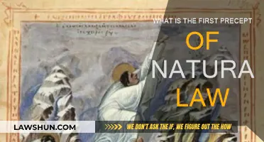 The Foundation of Natural Law: First Precept Explained