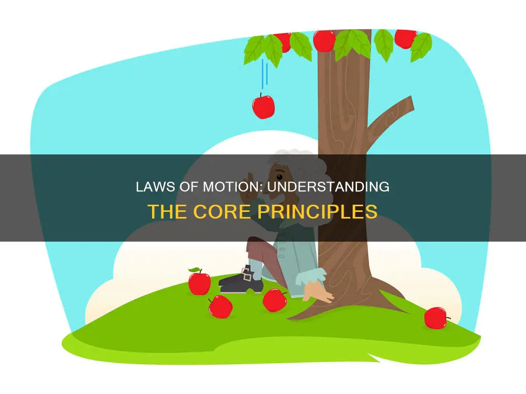 what is the first second third law of motion