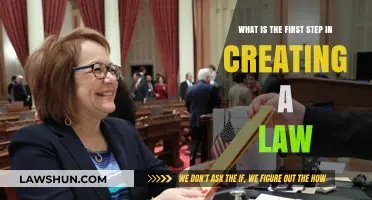 Initiating Law: The First Step