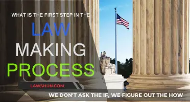 Initiating Law: The First Step
