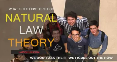 Exploring the First Principle of Natural Law Theory