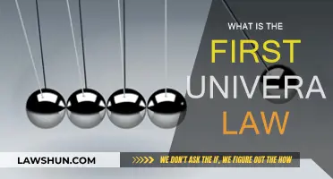 The First Universal Law: Law of Attraction