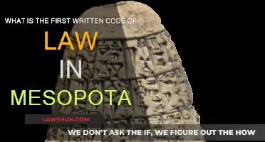 Mesopotamia's Earliest Code of Law Explained