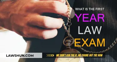 First-Year Law Exam: What to Expect