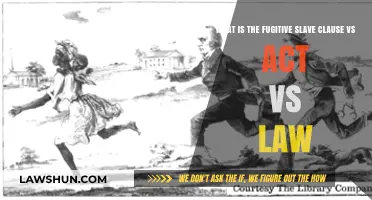 Fugitive Slave Clause, Act, and Law: Key Differences Explained