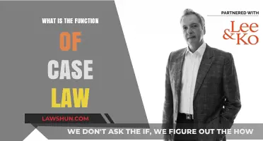 Case Law: Understanding Its Function and Purpose
