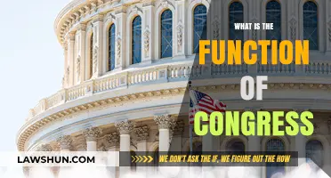Understanding the Role of Congress in the U.S. Government