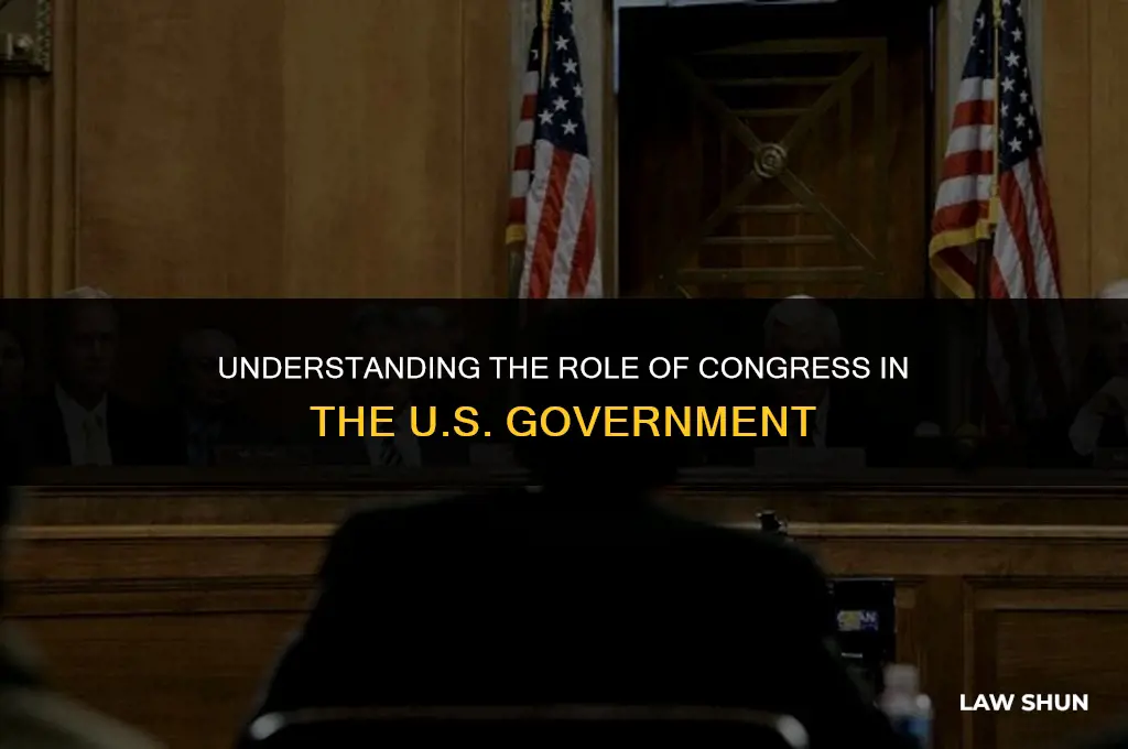 what is the function of congress