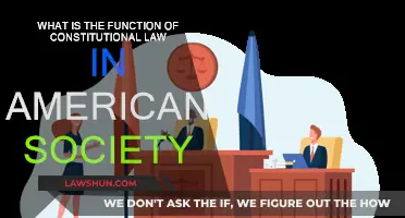 Constitutional Law: America's Foundation and Future