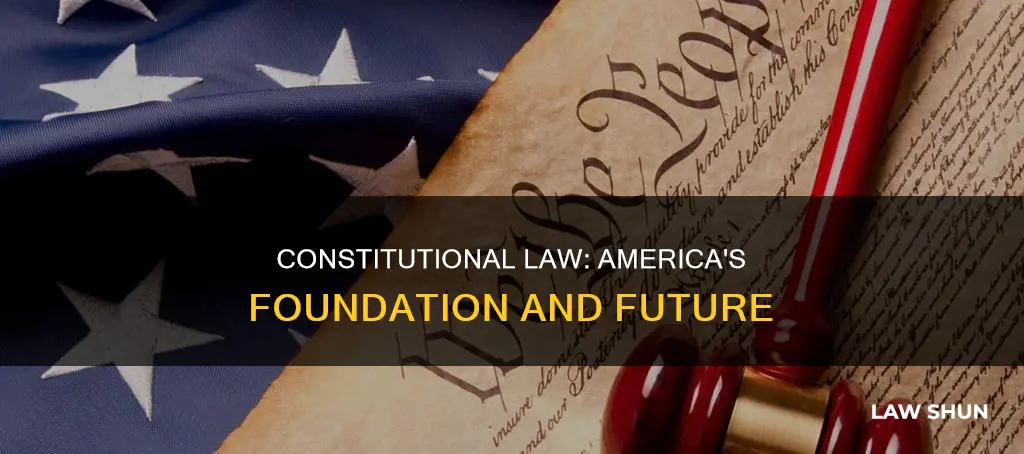 what is the function of constitutional law in american society