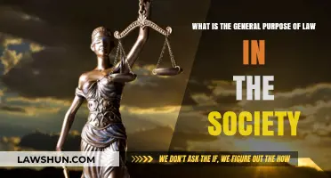 Understanding Law's Role: Shaping Society, Ensuring Justice, and Maintaining Order