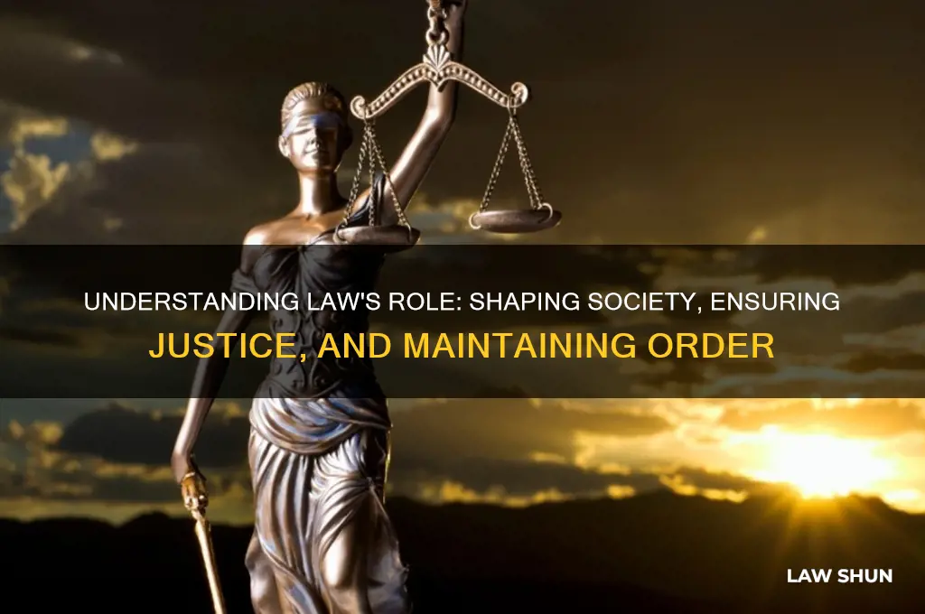 what is the general purpose of law in the society