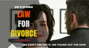 Understanding Georgia's Divorce Laws: A Comprehensive Guide to Filing