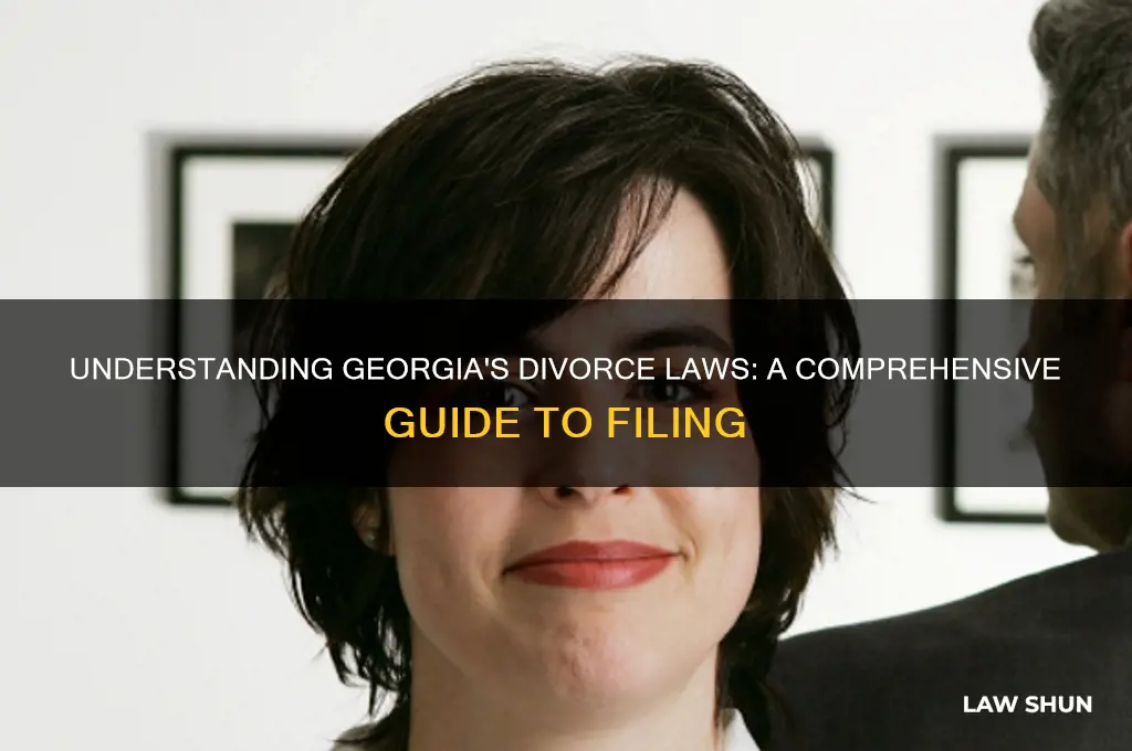 what is the georgia law for divorce