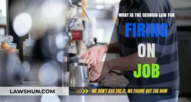 Understanding Georgia's At-Will Employment and Termination Laws for Workers