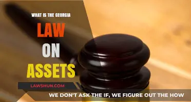 Understanding Georgia's Asset Laws: A Comprehensive Legal Overview