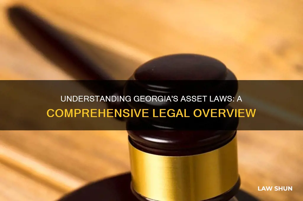 what is the georgia law on assets