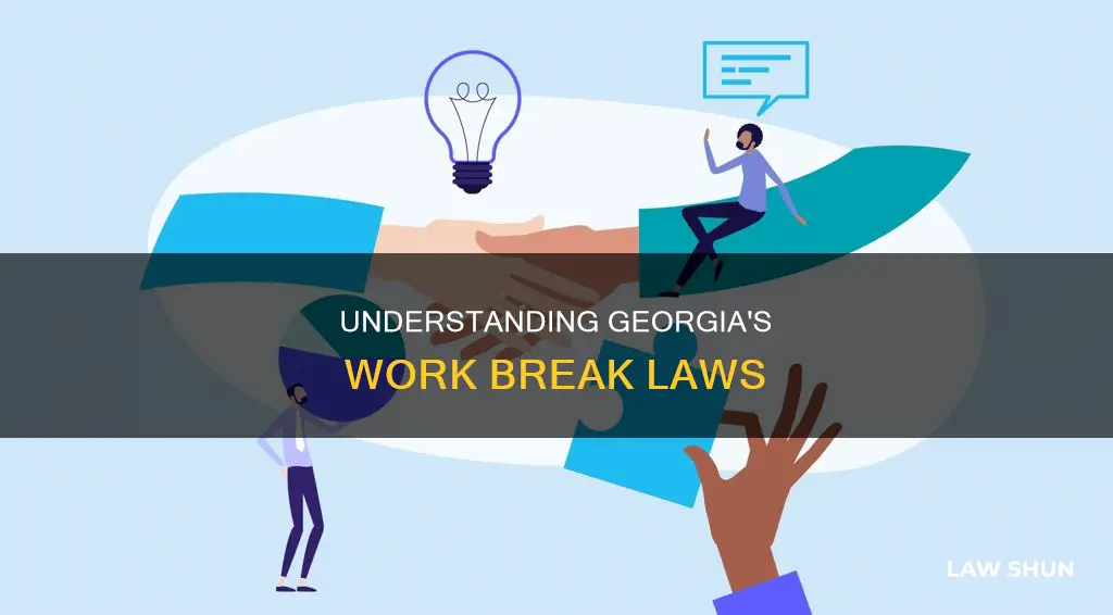 what is the georgia law on breaks at work