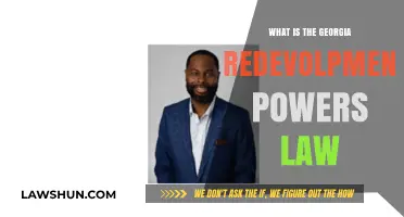 Understanding Georgia's Redevelopment Powers Law: A Comprehensive Overview