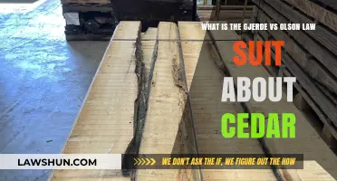 Gjerde vs Olson Lawsuit: Unraveling the Cedar Dispute Explained