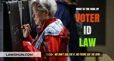 Understanding Voter ID Laws: Purpose, Impact, and Controversies Explained