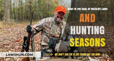 Wildlife Laws and Hunting Seasons: Balancing Conservation and Sustainable Harvest