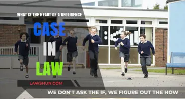 Key Elements of a Negligence Case in Law