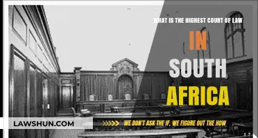 South Africa's Apex Court: Understanding the Constitutional Court's Role