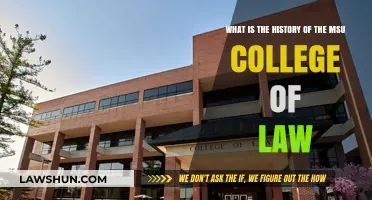 Exploring the Rich History of MSU College of Law