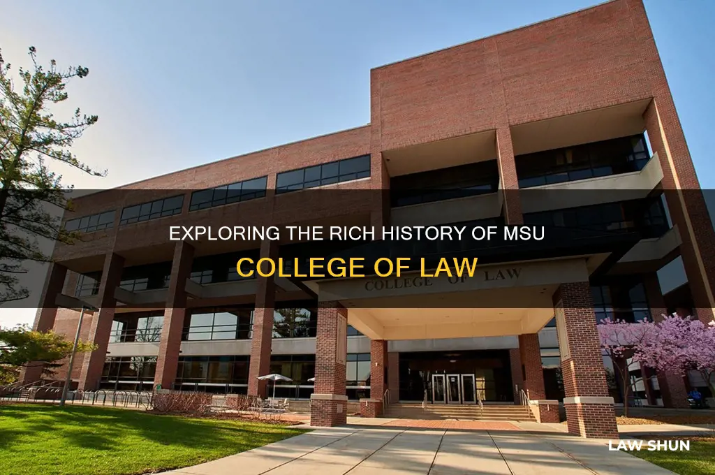 what is the history of the msu college of law