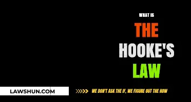 Exploring the Fundamentals: Understanding Hooke's Law in Physics